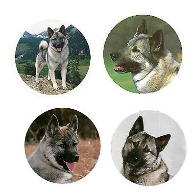 Norwegian Elkhound Magnets 4 Elkies for your Fridge or Collection-A Great Gift
