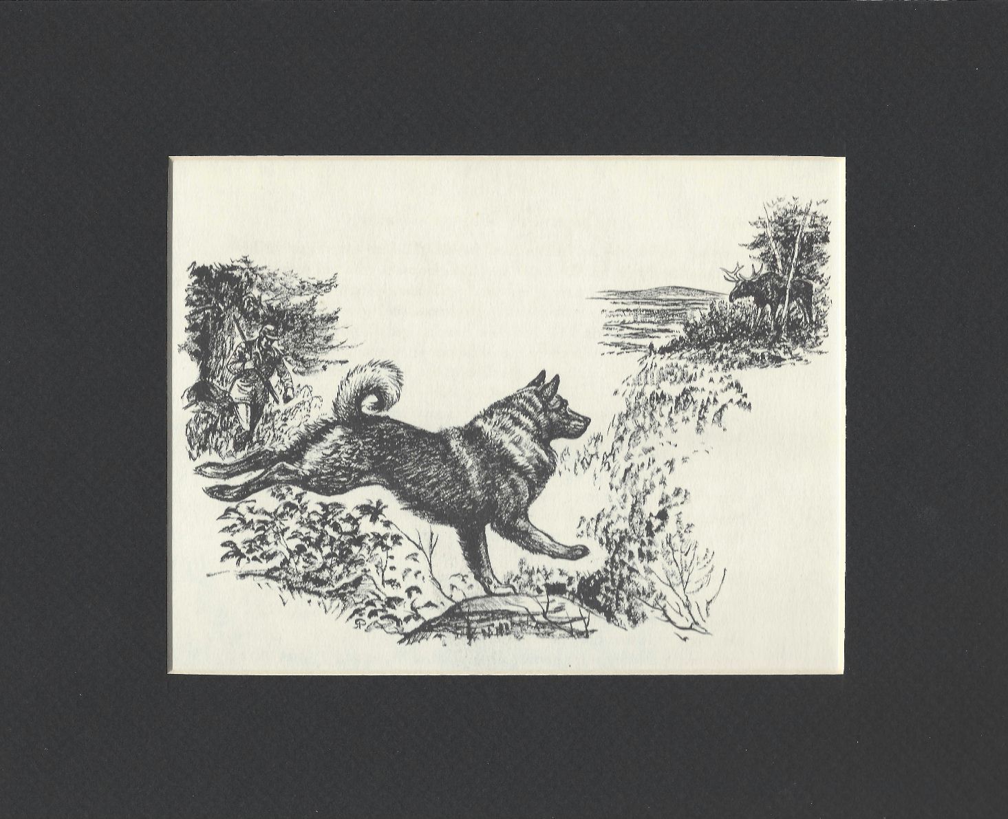 NORWEGIAN ELKHOUND - CUSTOM MATTED - Dog Art Print - 1964