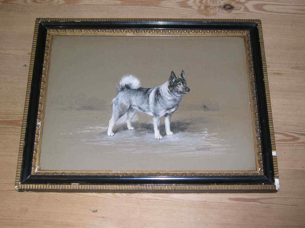 LARGE ANTIQUE NORWEGIAN ELKHOUND DOG WATERCOLOUR PAINTING WARD BINKS 1929